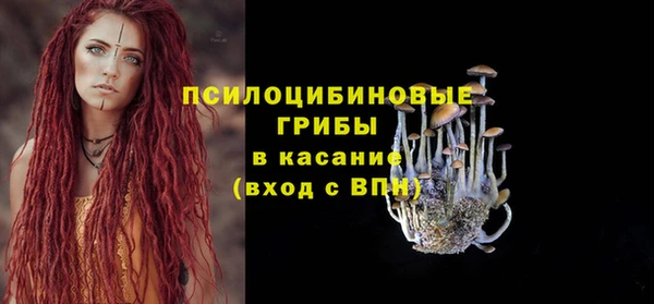 мяу мяу мука Алзамай