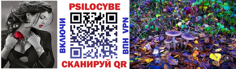 Галлюциногенные грибы Cubensis Алдан