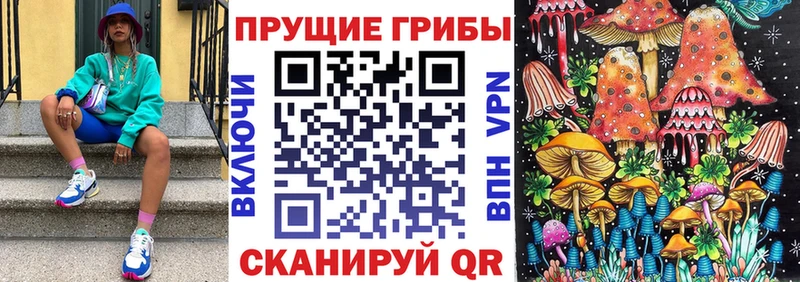 Купить где  Алдан  Псилоцибиновые грибы мухоморы 